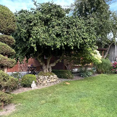 Appartement Kreatives Wohnen Unter Reet Ruhig Und Doch Zentral *